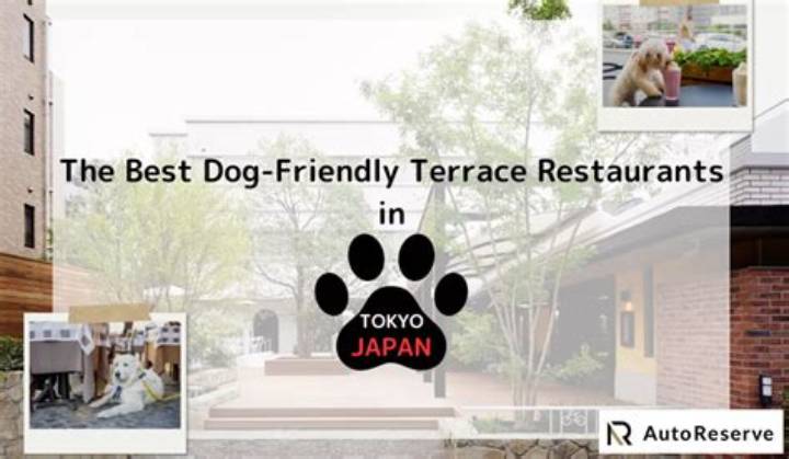 犬散歩レンタルサービスのリアル｜料金相場・おすすめ店舗と知っておくべき動物福祉の真相