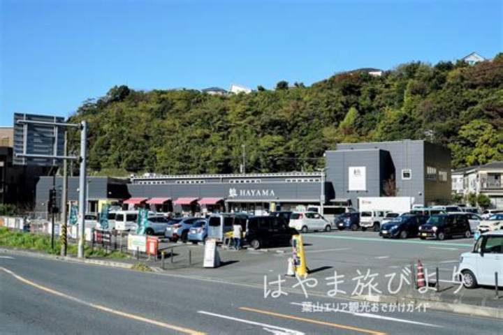 葉山ステーション 年末年始休業 2025 営業再開日と休業情報