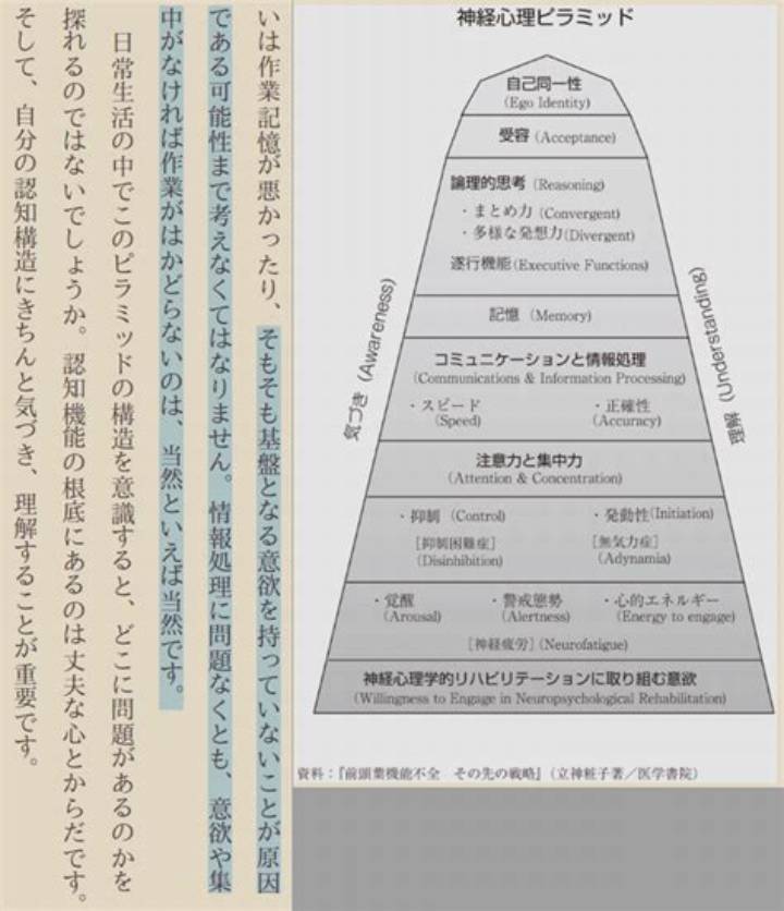 本田式認知特性テストとは？自分の認知タイプを知る方法