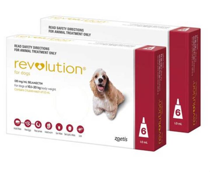 アイラブドッグ: 日本の犬文化を変えた革新的ブランドの真実
