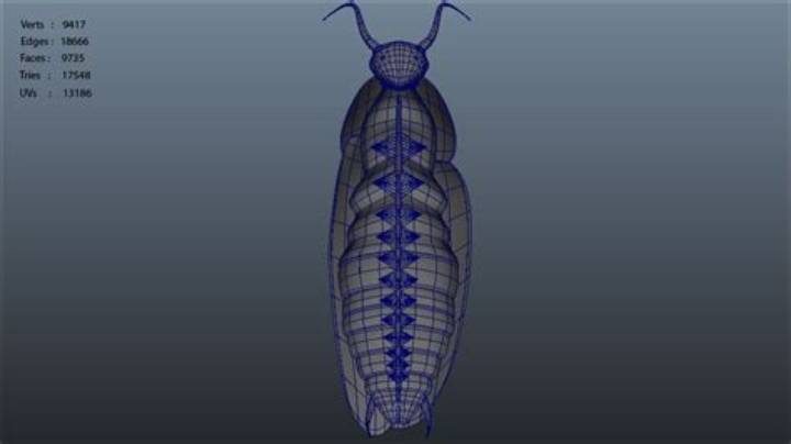 Insect Mmd: the Surprising World of Bug-Inspired 3D Animation