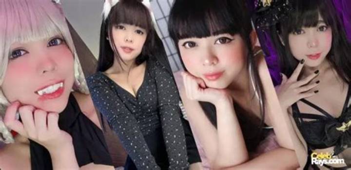 Kitty Kumとは何か：検索前に知っておきたい注意点と確認方法
