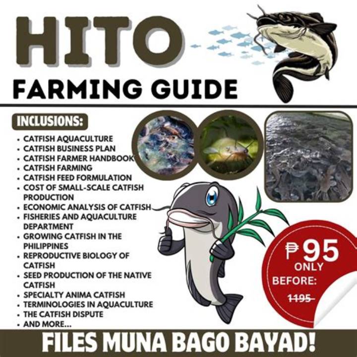 首が短い人の髪型完全ガイド｜似合うスタイルとNgスタイルを徹底解説
