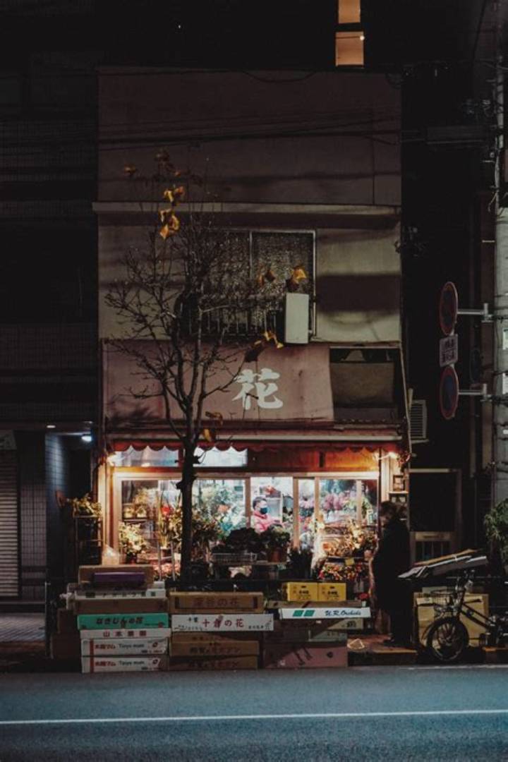墨田区の花屋選び完全ガイド：下町の伝統と洗練されたセンスが息づくおすすめ名店