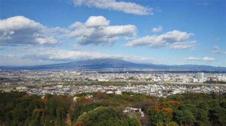 高崎ペットセンターの役割と実態｜動物保護・譲渡から防災対策まで徹底解説