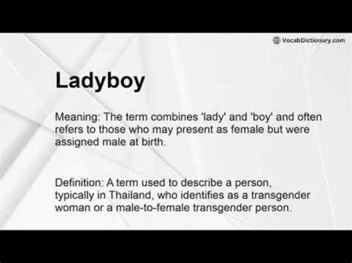 Teen Ladyboyとは何か：言葉の背景と安全に知る基礎知識